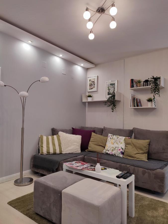 Center Danube Street Apartment Novi Sad Exterior foto